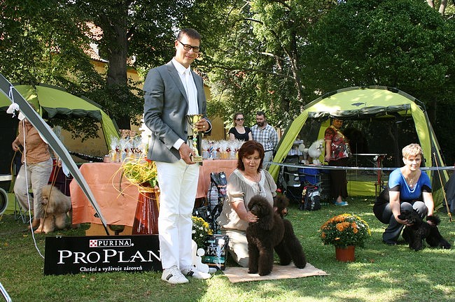 Lízinka-Poděbrady srpen 2012-Nejlepší štěně fena
